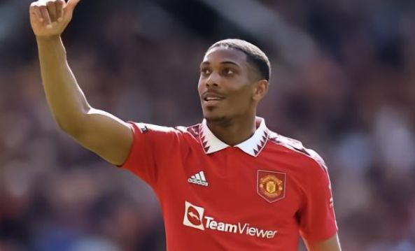 兰今年引进 兰今年引进