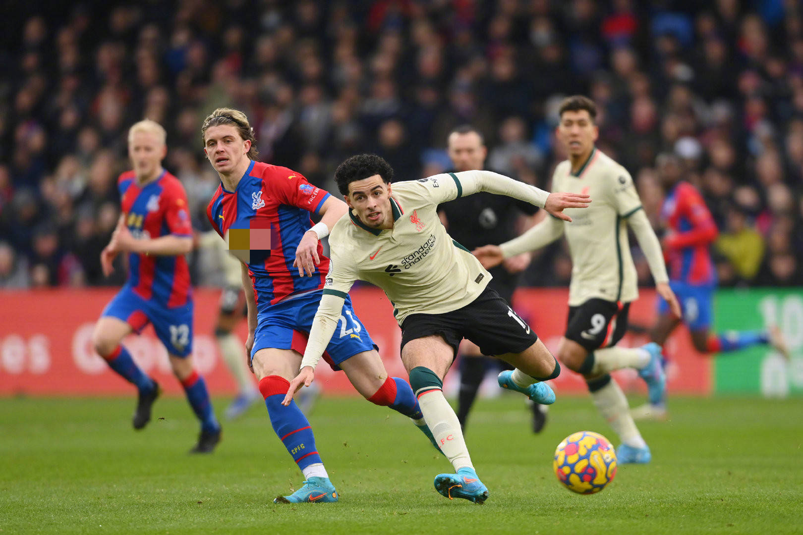 性的一项关 性的一项关